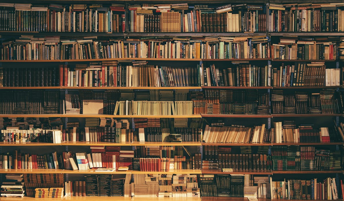 Estantería llena de libros