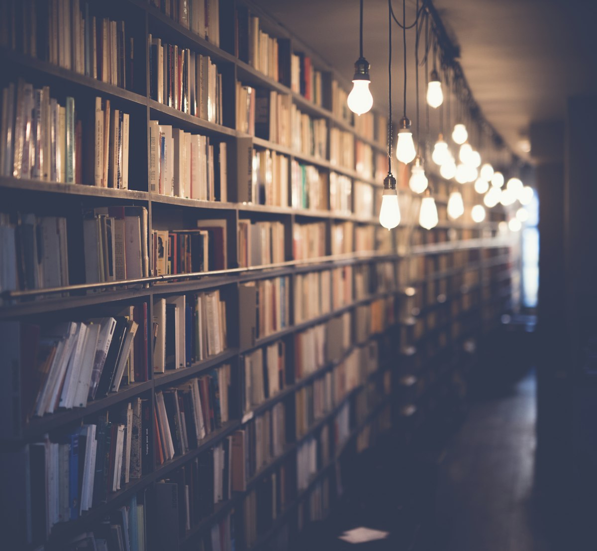 Pasillo de una librería con estanterías y bombillas colgadas
